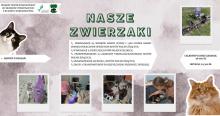 Podsumowanie programu „Nasze zwierzaki” w Gminie Barwice